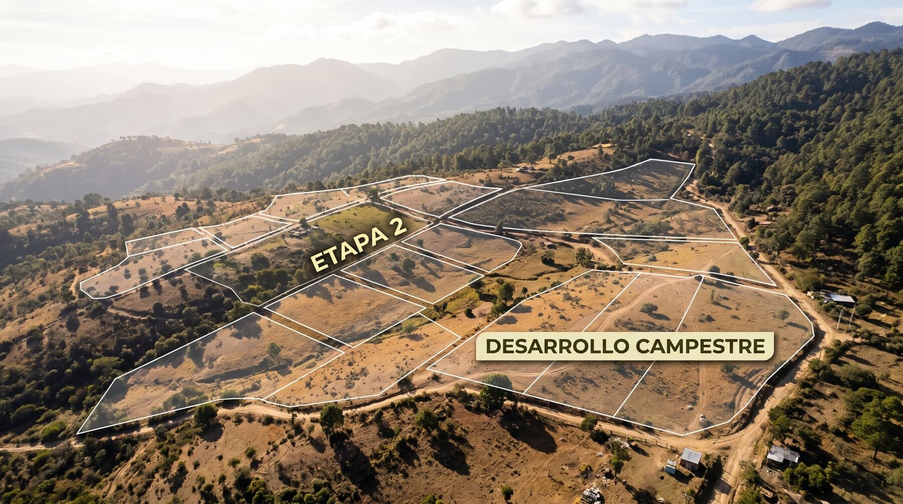 Lotes deslindados sobre una ladera con pendiente en Oaxaca